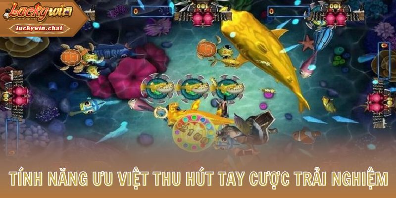 Nhiều tính năng ưu việt thu hút tay cược trải nghiệm