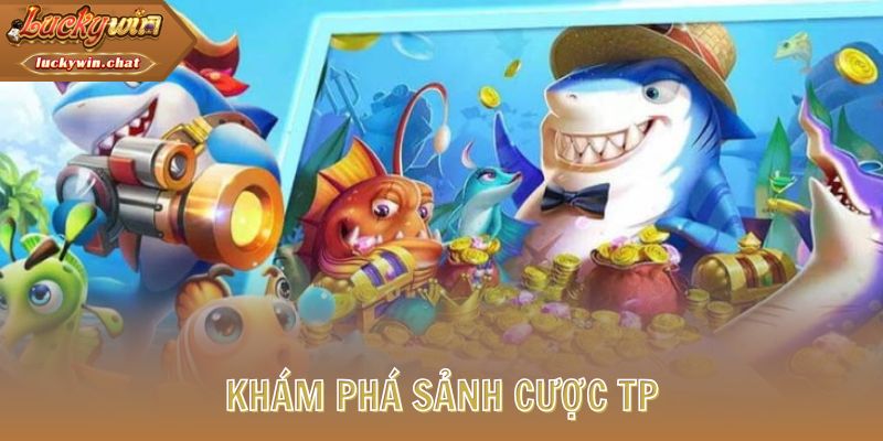 Khám phá sảnh cược TP
