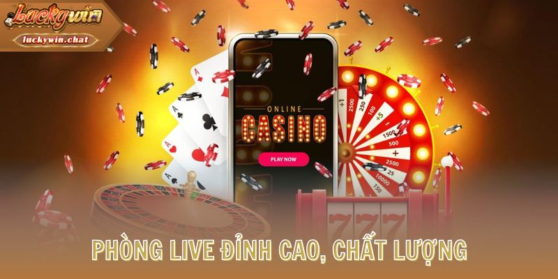 Phòng live đỉnh cao, chất lượng